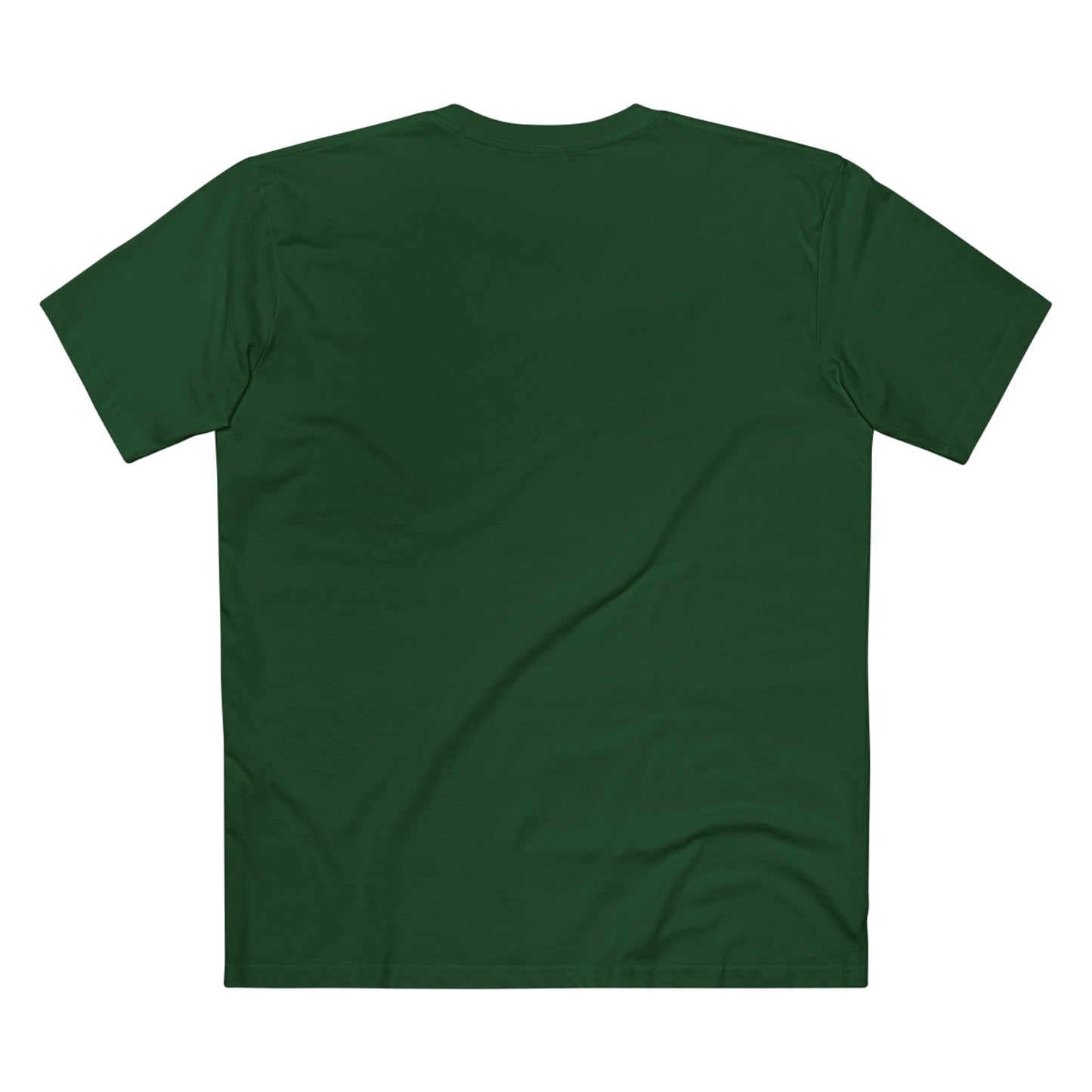 Faith of a Warrior Heart of a Lion T-shirt