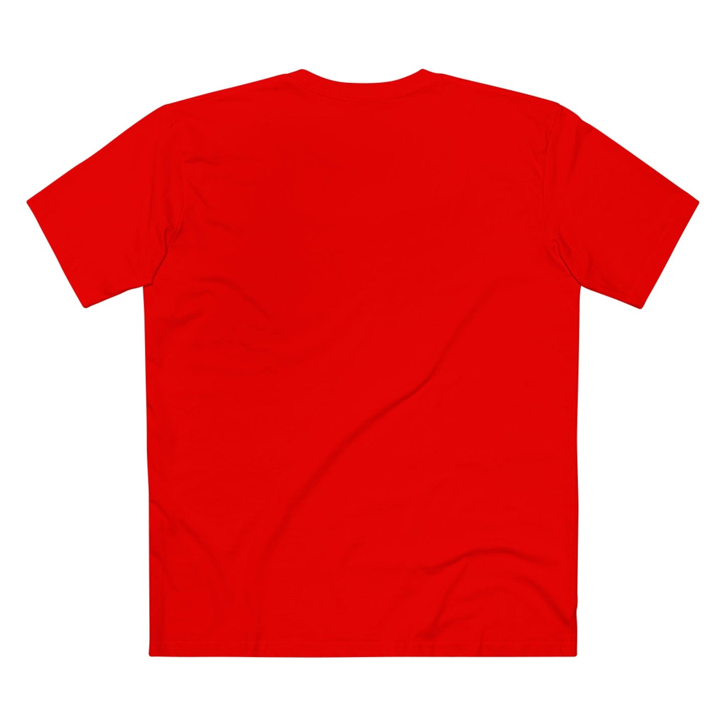 Faith of a Warrior Heart of a Lion T-shirt