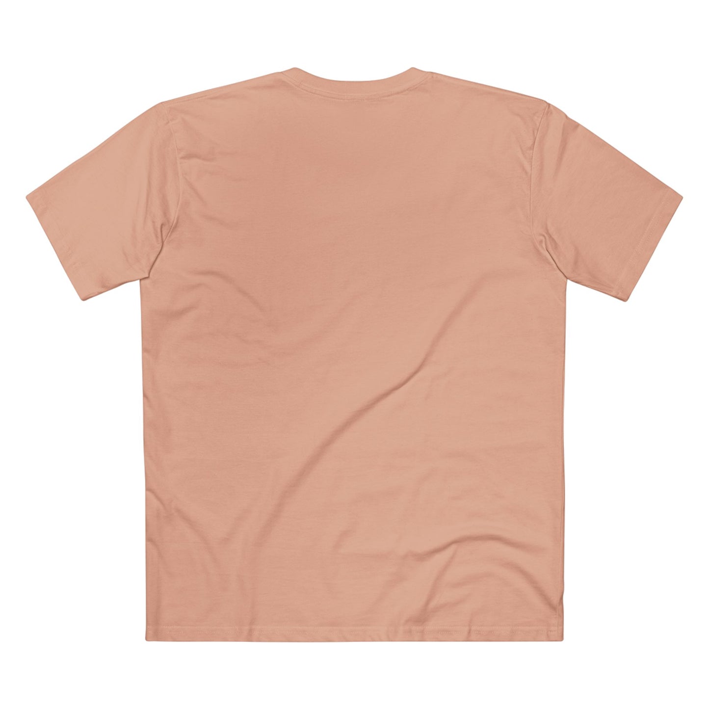 Iron Sharpens Iron T-shirt