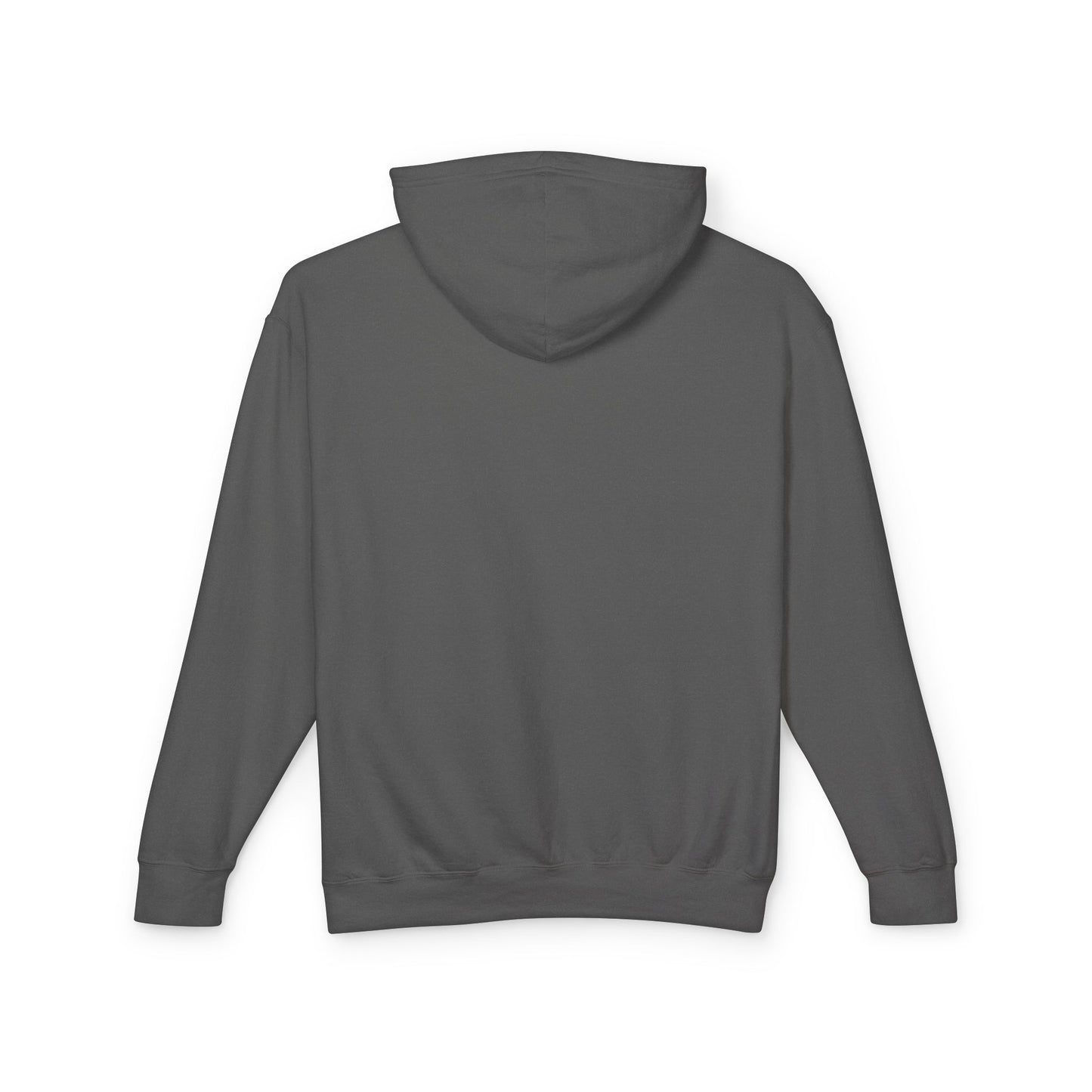 Iron Sharpens Iron Hoodie